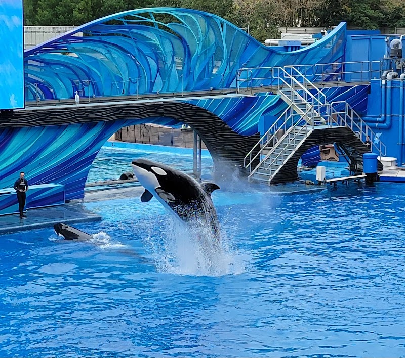 SeaWorld Orlando photo 2