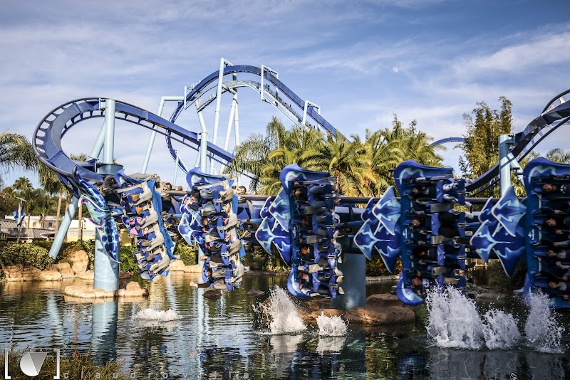 SeaWorld Orlando photo 3
