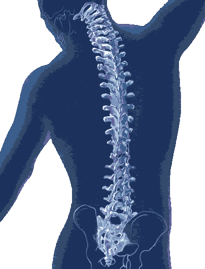 Accident & Injury Chiropractic photo 4