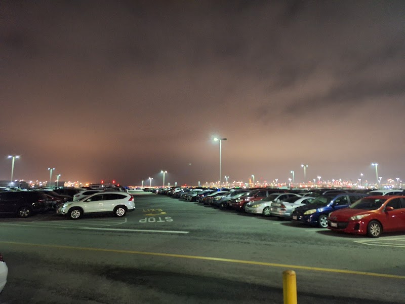 Photo of Lot D Bus Stop 11