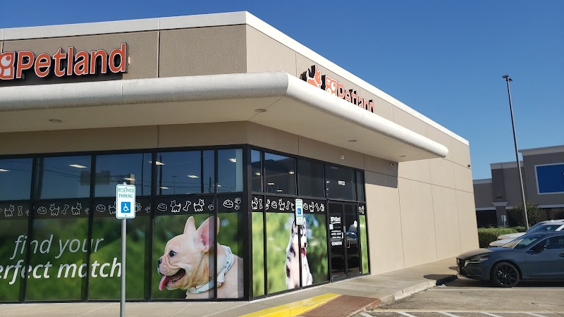 Photo of Petland Webster