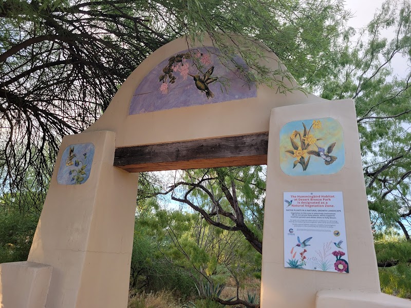 Desert Breeze Hummingbird Habitat photo 3