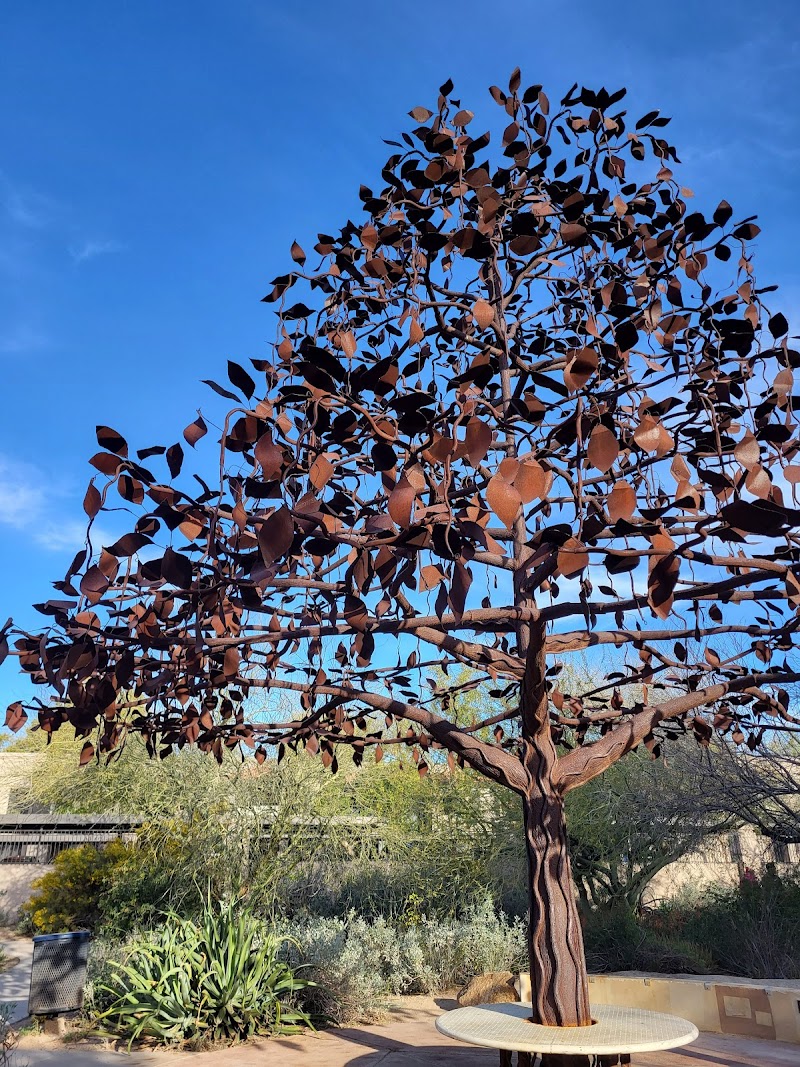 Desert Breeze Hummingbird Habitat photo 2