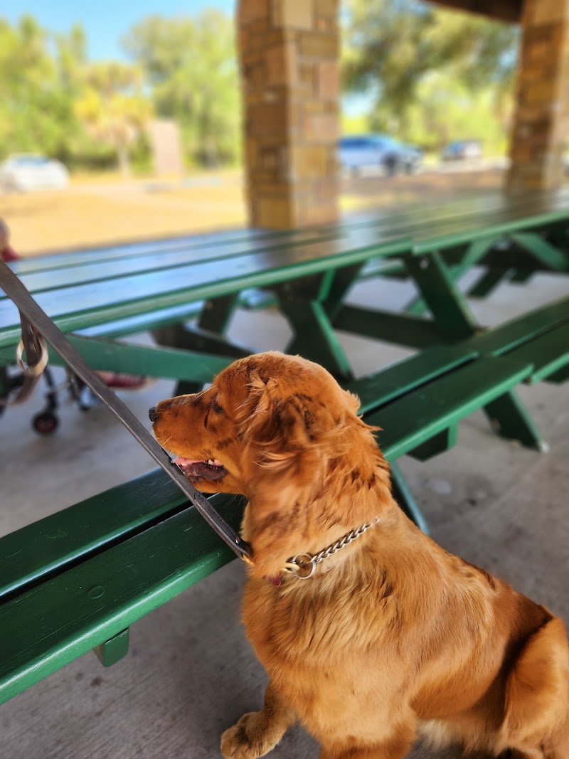 Dog Park photo 2