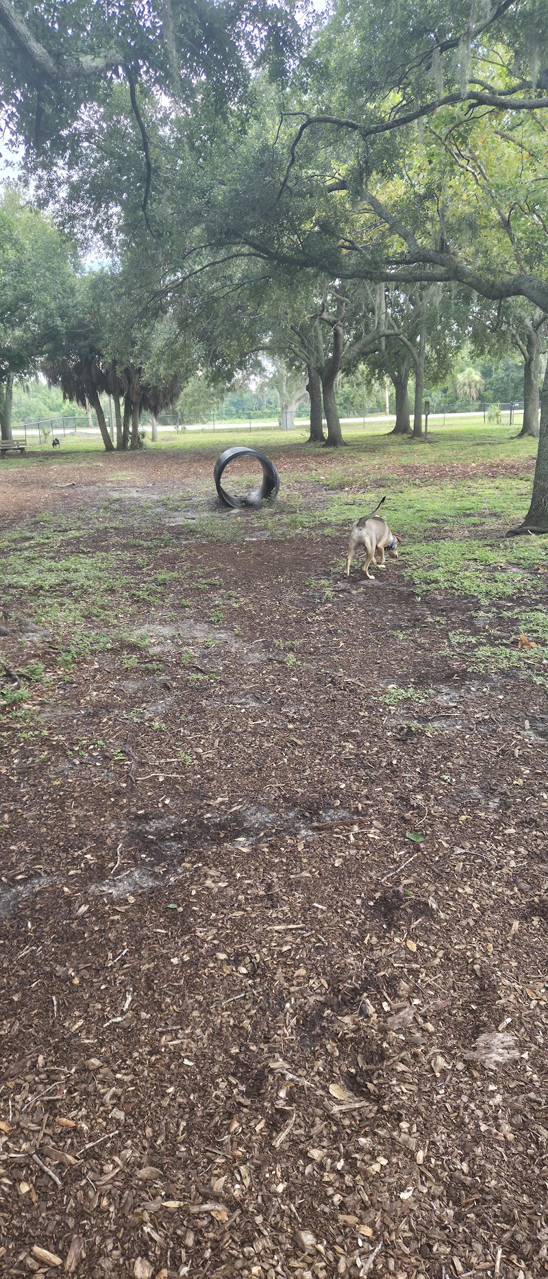 Dog Park photo 3