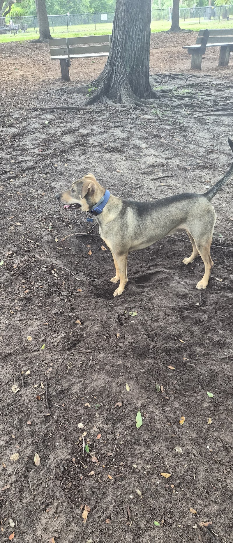 Dog Park photo 4