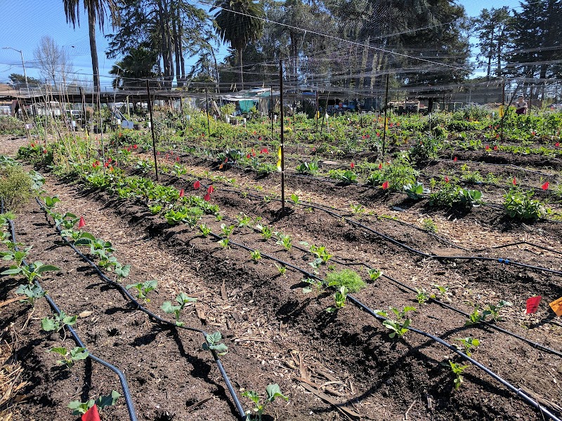 Photo of UC Gill Tract Community Farm