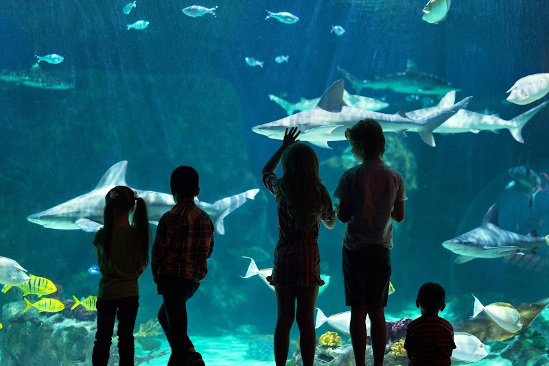 Photo of Loveland Living Planet Aquarium