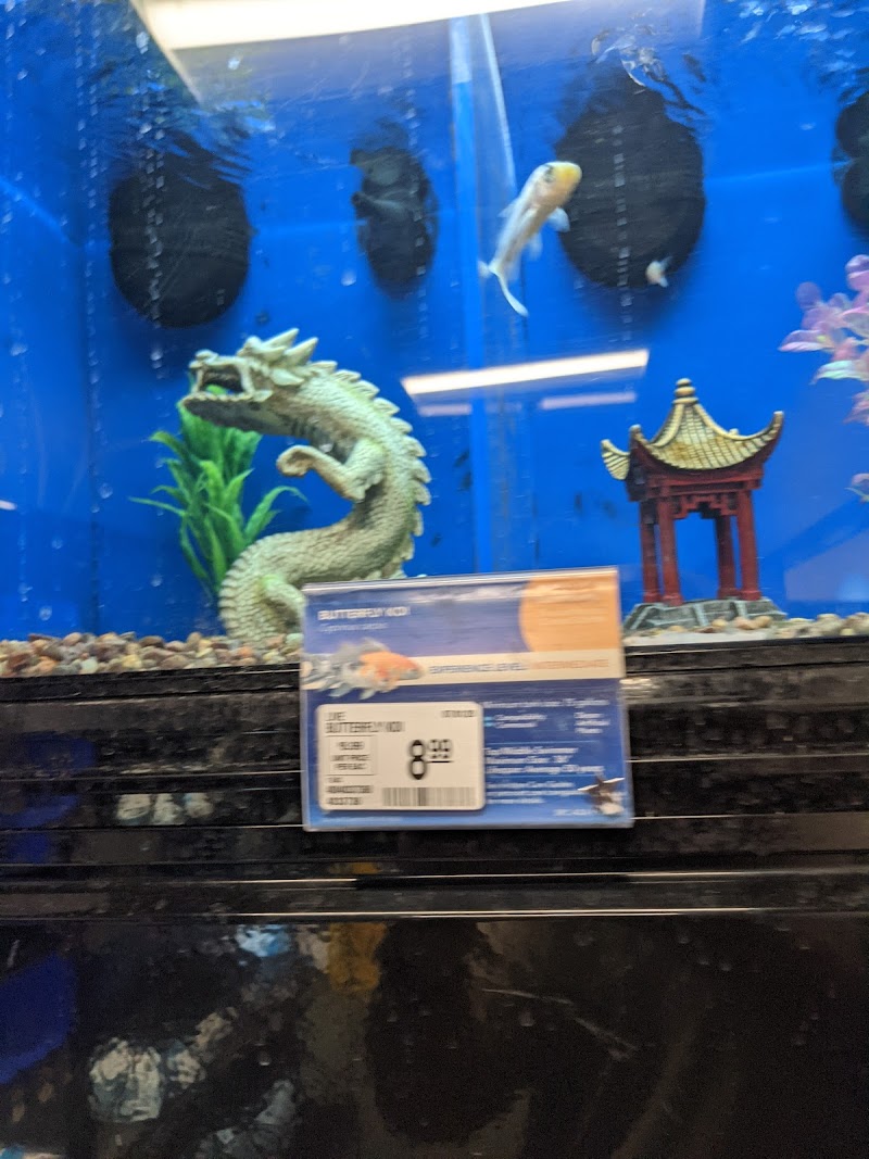 PetSmart photo 3