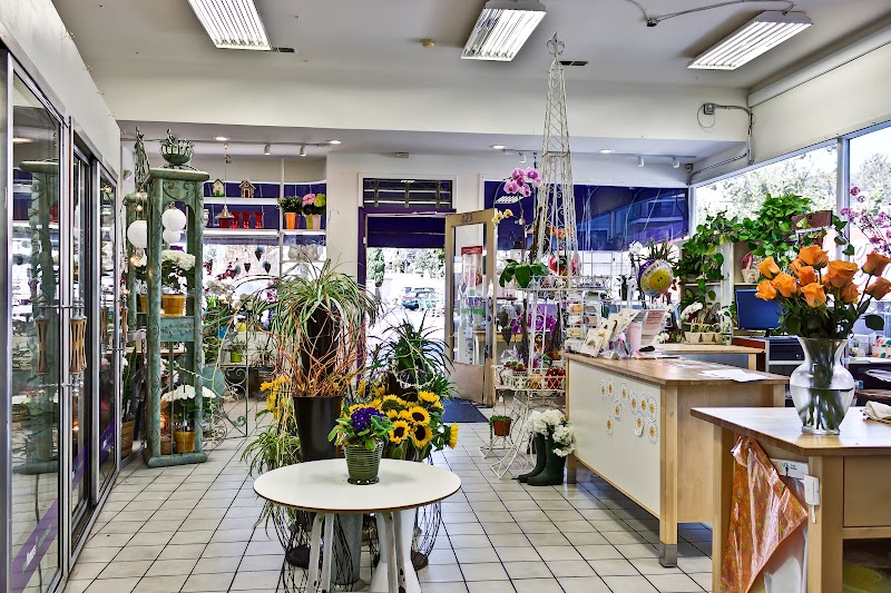 Albany Florist And Gifts Plus photo 3