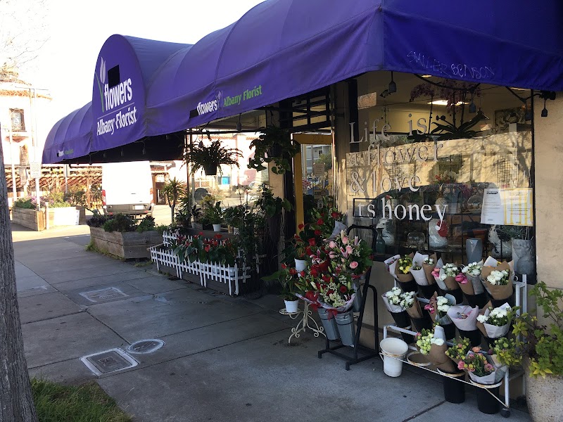Photo of Albany Florist And Gifts Plus