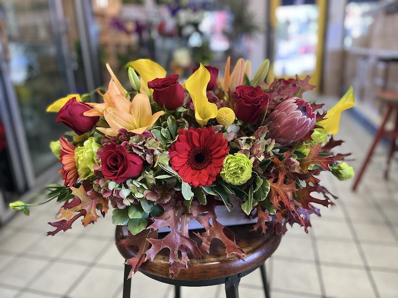 Albany Florist And Gifts Plus photo 2