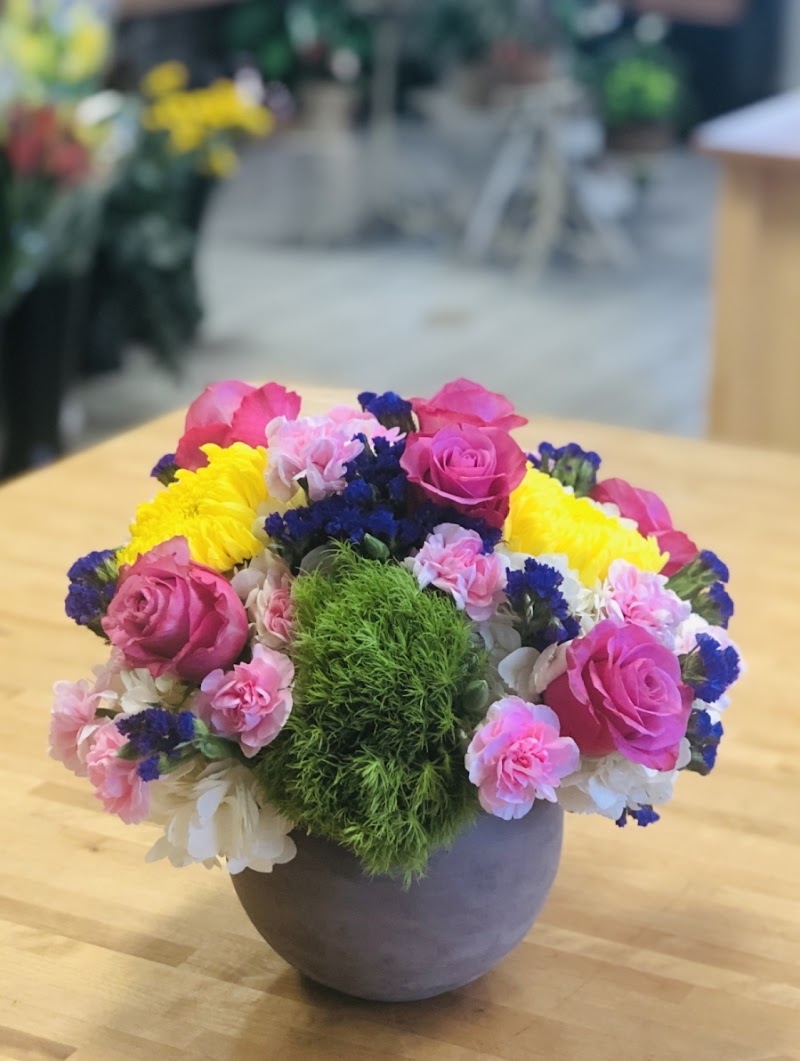 Albany Florist And Gifts Plus photo 4
