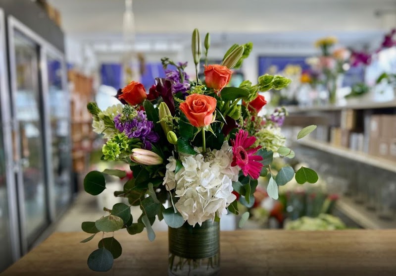 Albany Florist And Gifts Plus photo 5