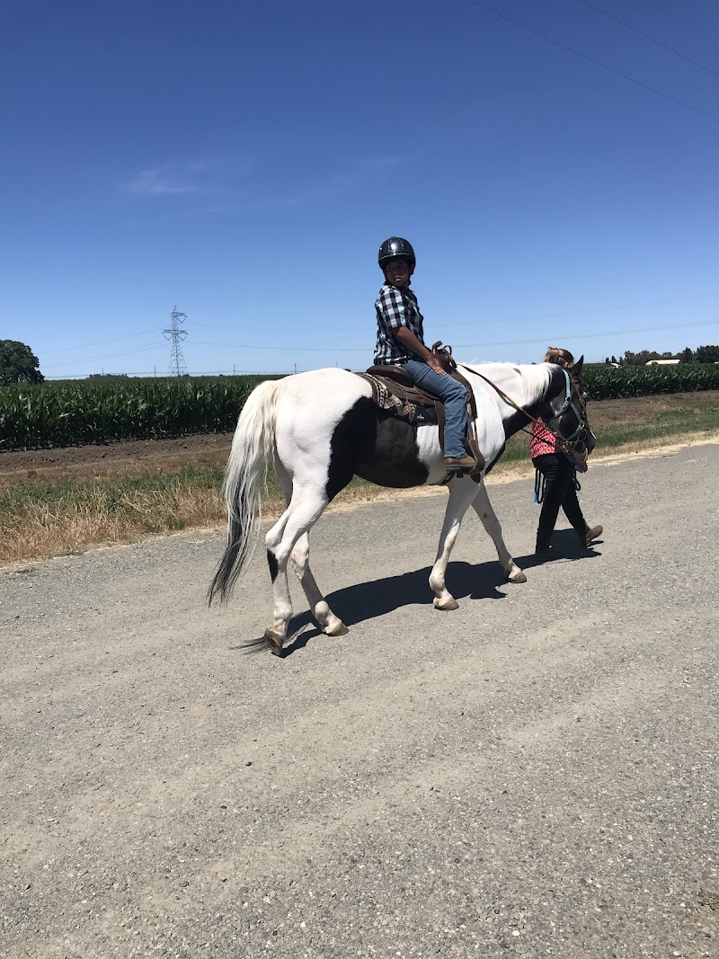 Photo of Horizon Arabians