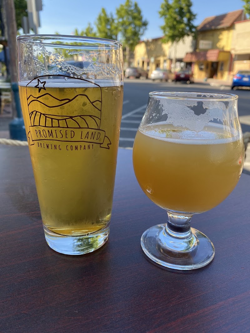 Promised Land Brewing Company photo 2