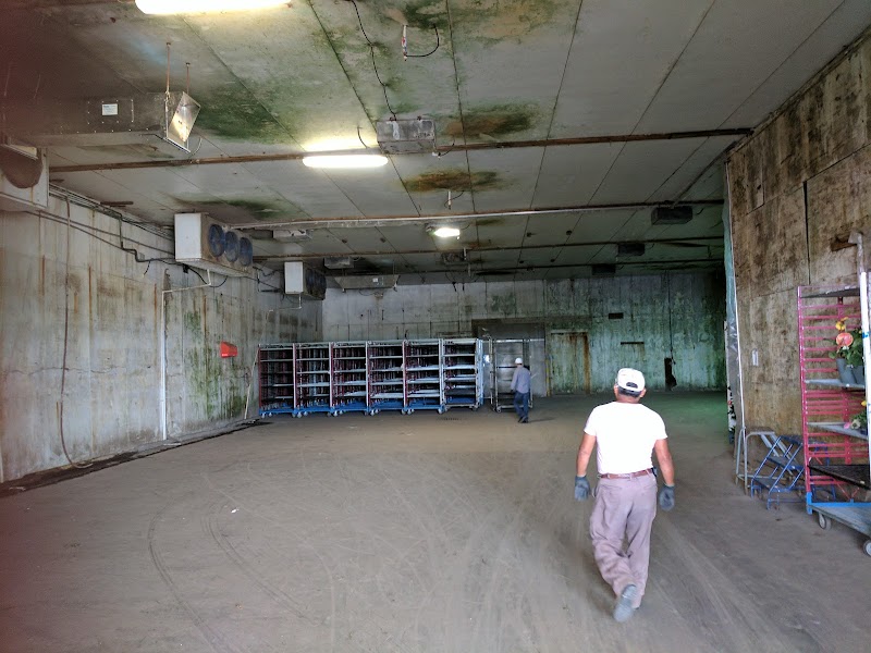 Speedling Incorporated, SCC photo 3