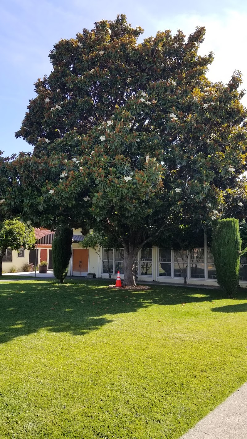 Saint Peter Roman Catholic Church photo 3