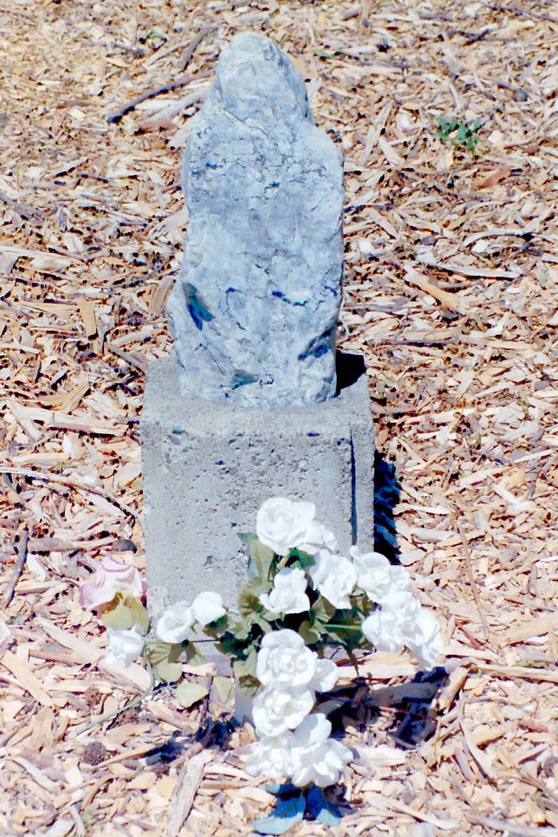 Centerville Pioneer Cemetery photo 4
