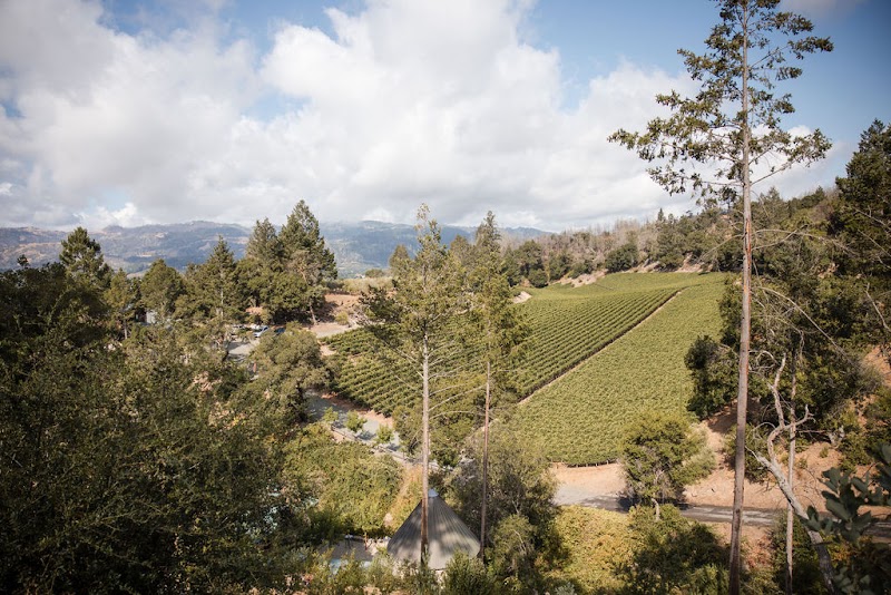 Photo of Forman Vineyard