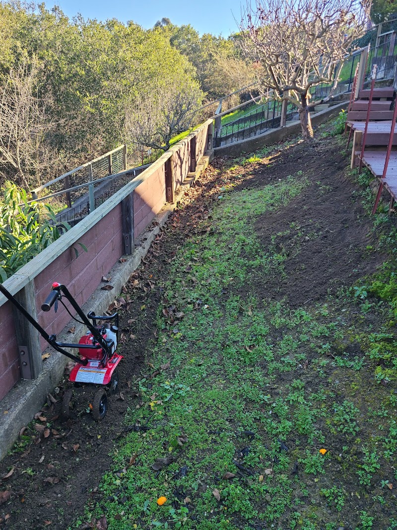 East Bay Lawnmower photo 4