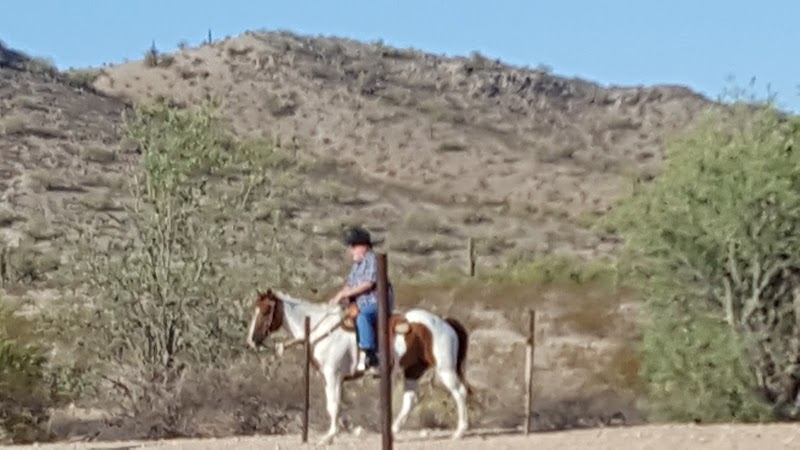 Eagle Mountain Boarding Stable photo 4