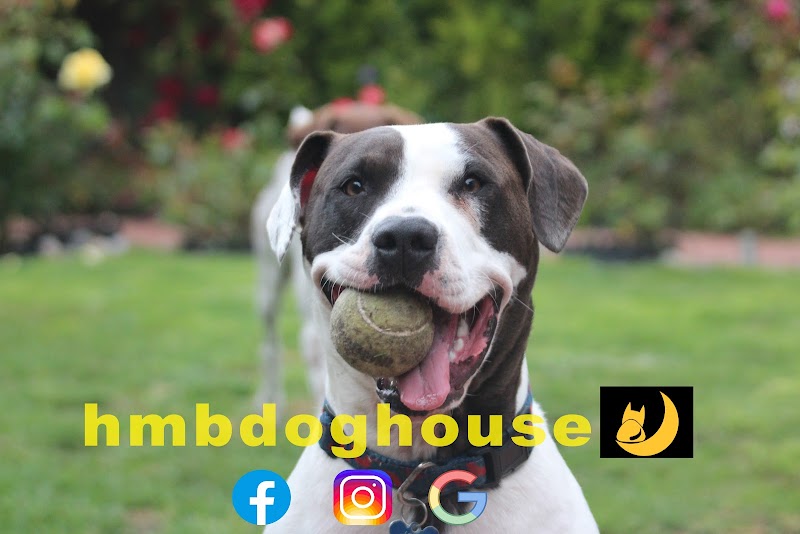 Photo of hmbdoghouse