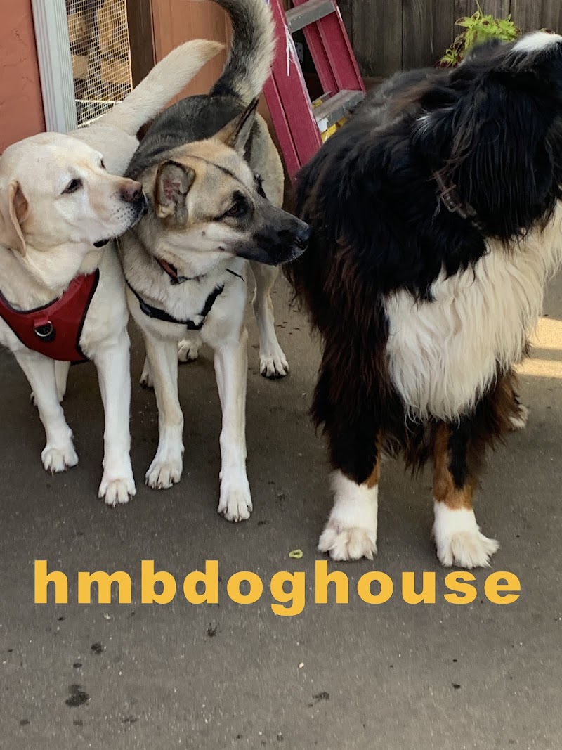 hmbdoghouse photo 4