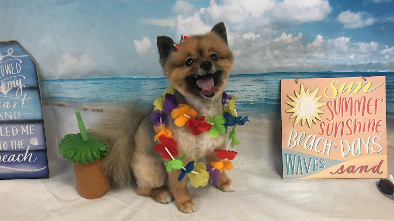 Photo of Muddy Paws Grooming -Oakley