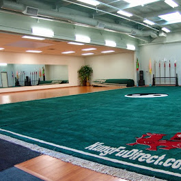 Li's Wu Shu Academy (WTSF Training Center) photo 2