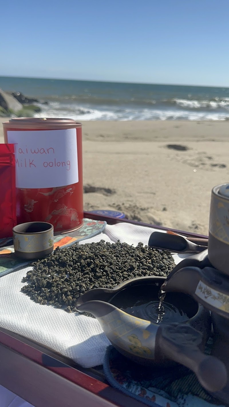 Pu-Erh & Palms online store photo 3