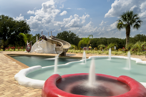 Sweet Escape Mansion near Orlando photo 3