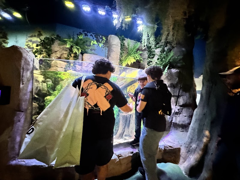 SEA LIFE Florida Aquarium at LEGOLAND® Florida Resort photo 3