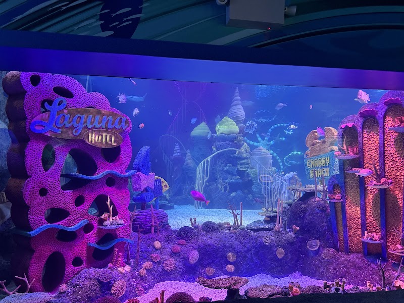 Photo of SEA LIFE Florida Aquarium at LEGOLAND® Florida Resort