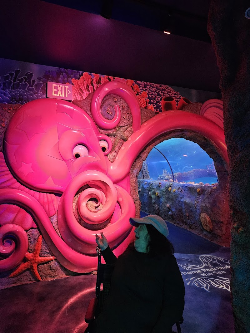 SEA LIFE Florida Aquarium at LEGOLAND® Florida Resort photo 4