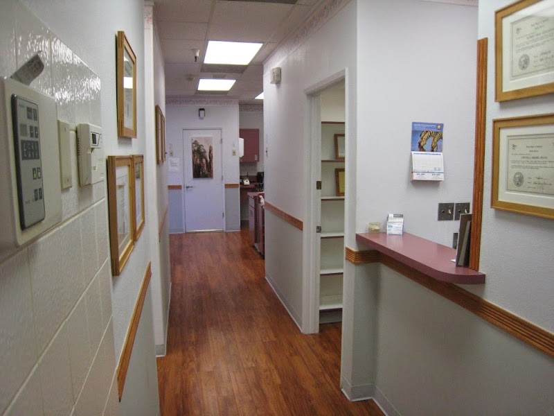 Fresh Smile Dental Practice photo 4