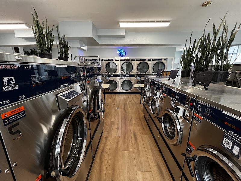 Paloma Cleaners & Laundry photo 3