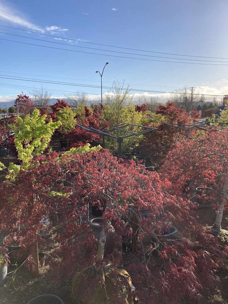 Photo of Plant Tomorrow
