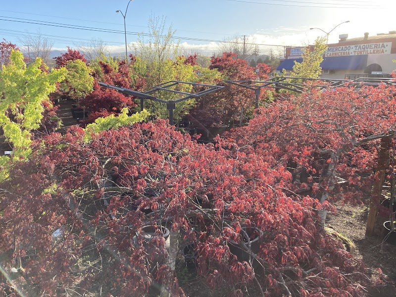 Plant Tomorrow photo 2