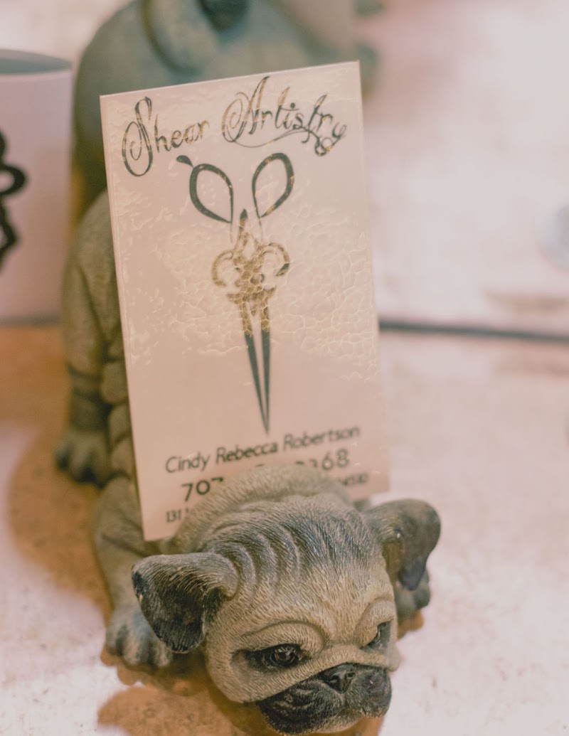Shear Artistry Benicia Ca photo 3