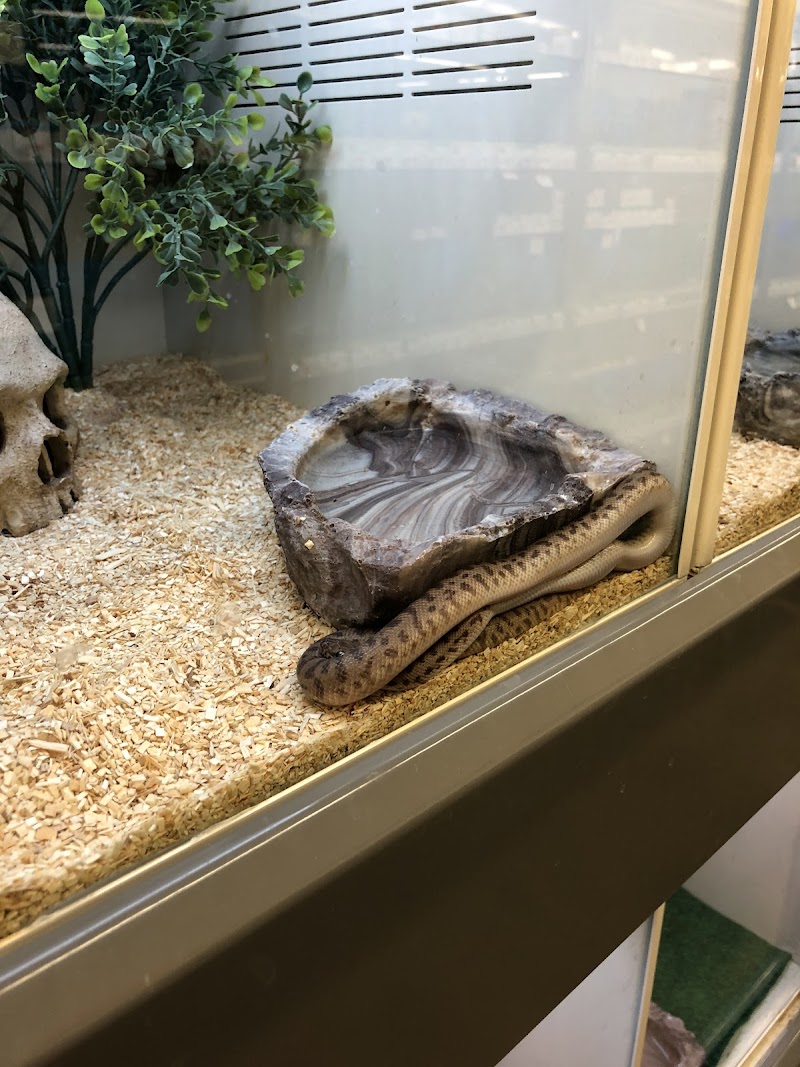 Pet Supplies Plus Valrico photo 4