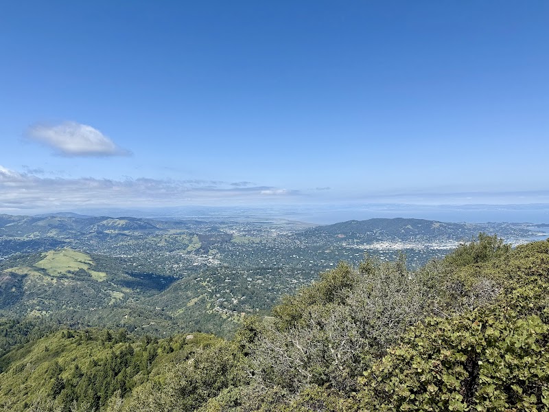 Mt Tam photo 3