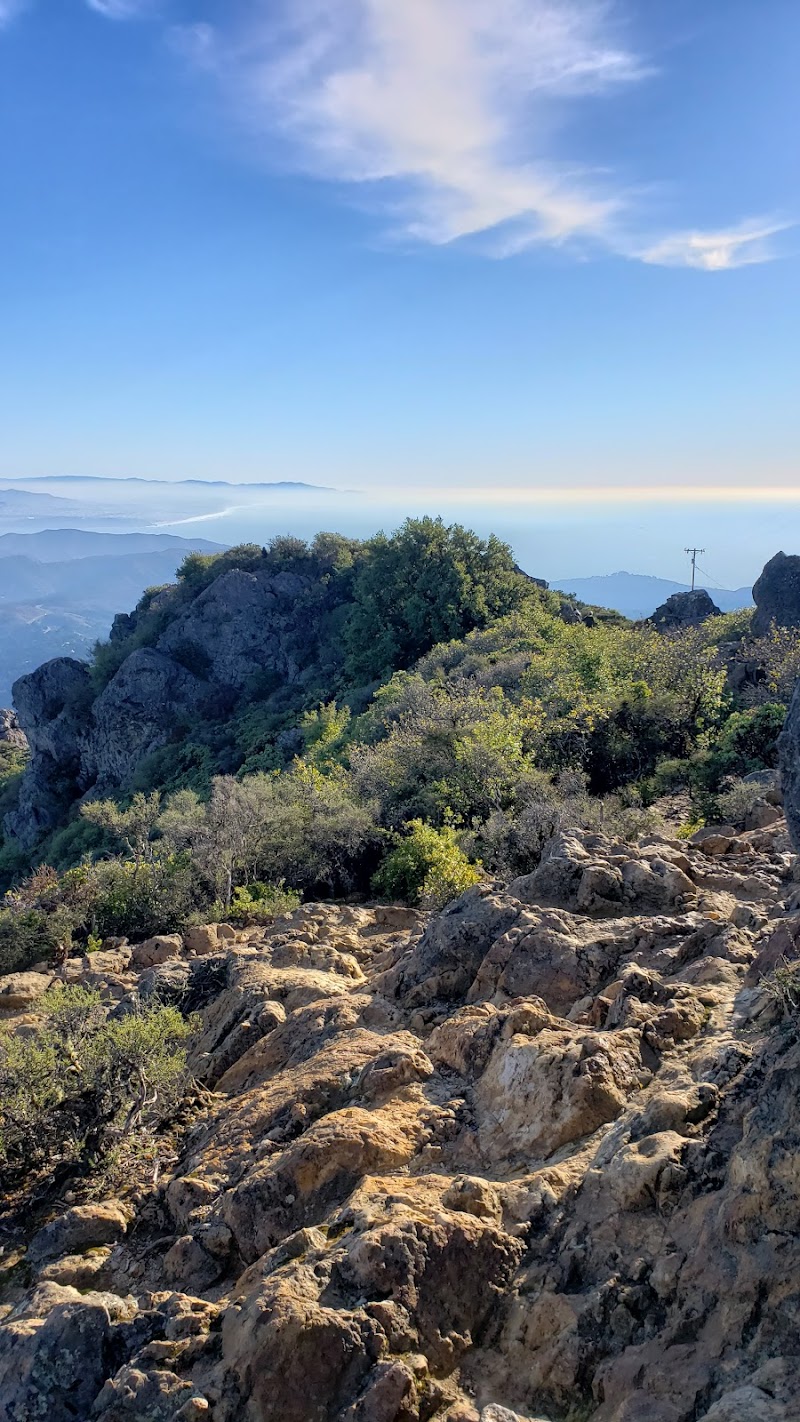Mt Tam photo 5