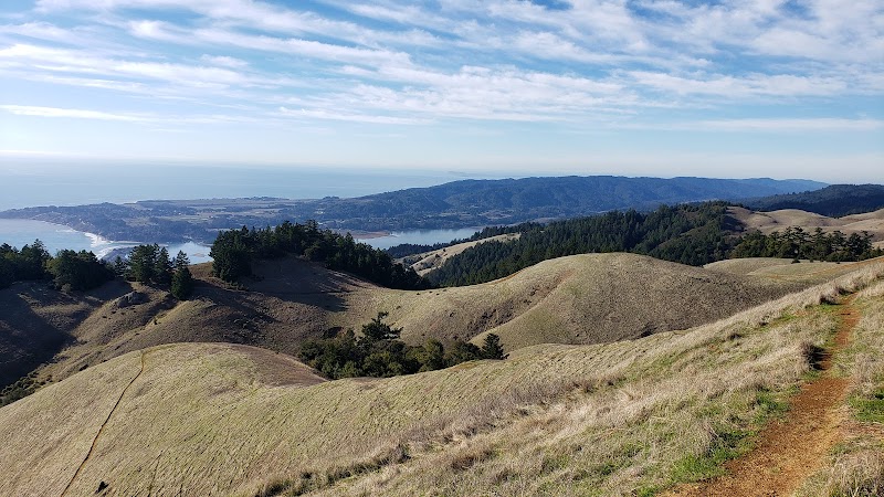 Photo of Mt Tam
