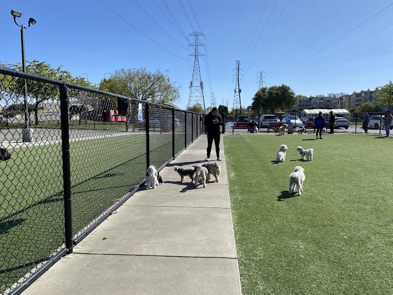Foster City Dog Park photo 2