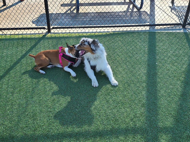 Foster City Dog Park photo 3