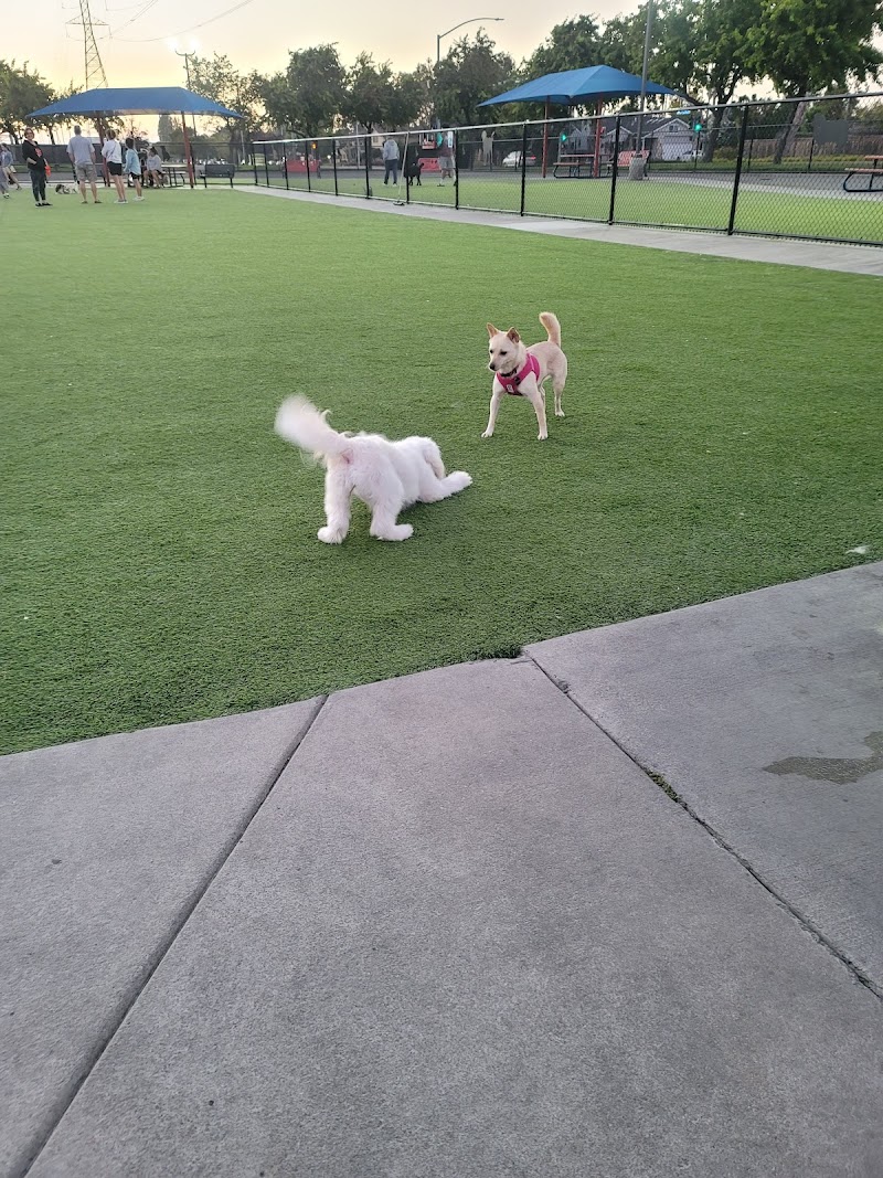 Foster City Dog Park photo 4