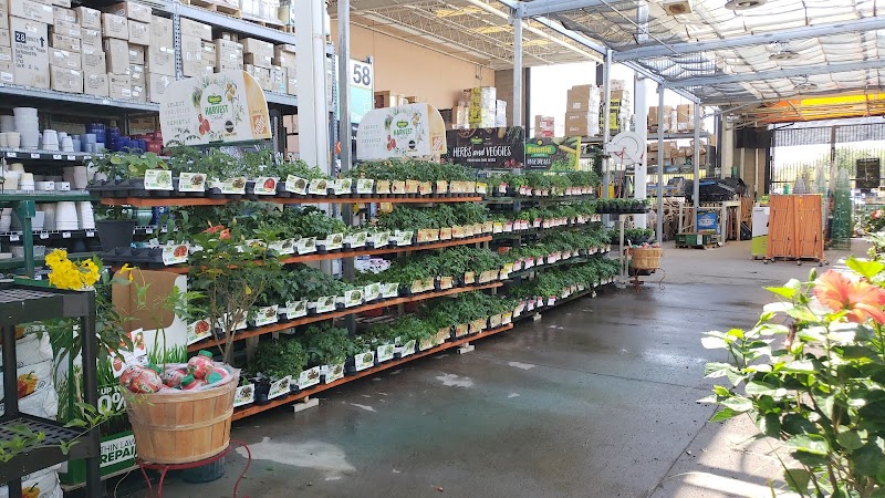 Garden Center at The Home Depot photo 2