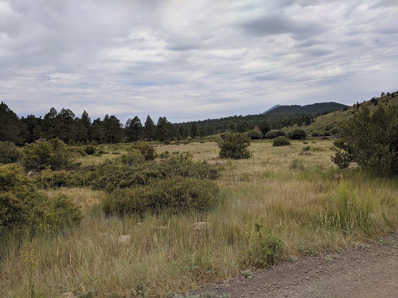 Camp Colton photo 3