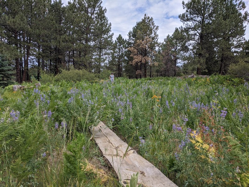 Camp Colton photo 4
